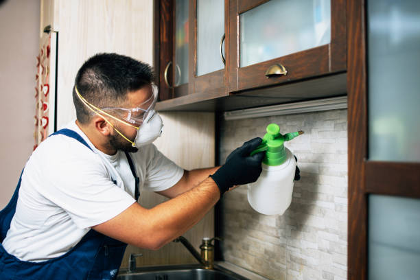 Best Local Pest Control Services  in Elm City, NC