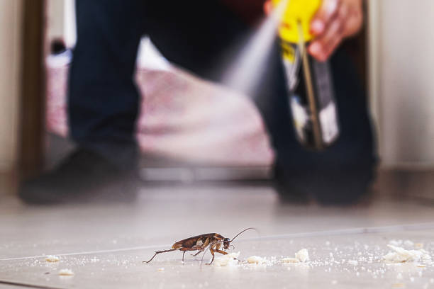 Best Affordable Pest Control Services  in Elm City, NC