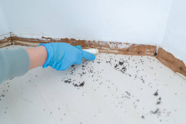 Best Wildlife Control Services  in Elm City, NC